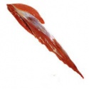 fresh frozen halal buffalo meat - product's photo