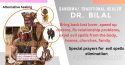 love spells +27648060105 traditional spiritual healer in queenstown, i - product's photo