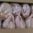 halal frozen whole chicken - product's photo