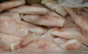 frozen chicken feet & paws, whole chiken - grade a processed  - product's photo