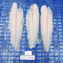 pangasius fillet - product's photo