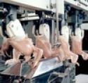 halal whole frozen chicken - product's photo