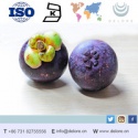 natural mangosteen peel extract powder (alpha-mangostin) - product's photo