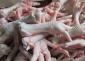 frozen chicken - product's photo