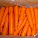 new crop fresh carrot / red carrot / carrots for sale - product's photo